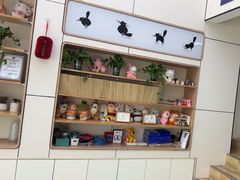 -凯瑞希宠物医院·狂犬免疫·微创·皮肤科