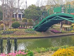-上海鲜花港