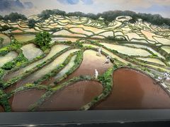 -中国湿地博物馆