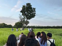 -汉长安城未央宫国家考古遗址公园