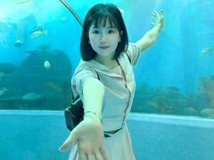-合肥海洋世界