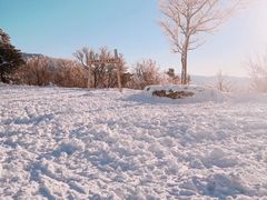 -亚布力新体委滑雪场