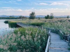 -野鸭湖国家湿地公园