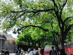 -北京国子监胡同