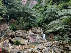 -三水森林公园