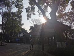 -重庆平顶山公园