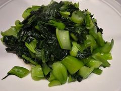 -阿露佳·安吉菜