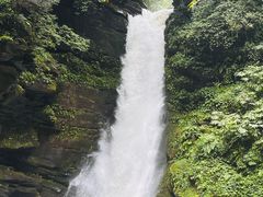 -碧峰峡风景区