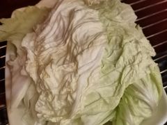 圆生菜-阳坊大都涮羊肉(阳坊总店)