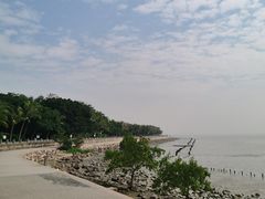 -深圳湾公园(南山区)