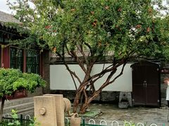 -荣国府