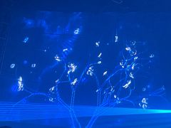 -PAPAYA CLUB 酒吧(深圳旗舰店)