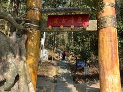 -长沙黑麋峰国家森林公园