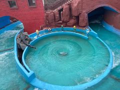 -南京银杏湖乐园