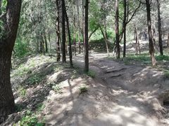 -北京鹫峰国家森林公园