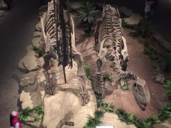 -自贡恐龙博物馆