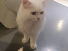 -小时光咖啡馆(开森度假森林店)