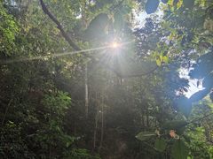 -西双版纳基诺山寨