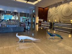 -西双版纳融创皇冠假日度假酒店