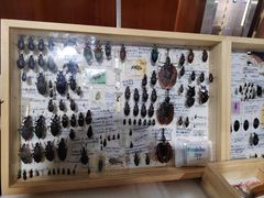 -广州市第二少年宫