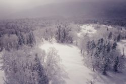 -大秃顶子山(雪谷店)