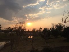 -瑶湖郊野森林公园