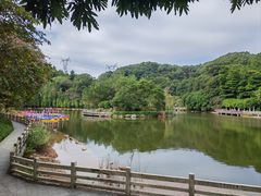 -广州市帽峰山景区