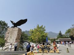-北京鹫峰国家森林公园