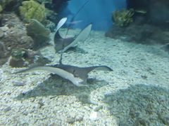 -福州罗源湾海洋世界旅游区