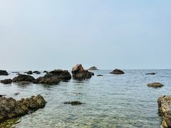 -养马岛旅游度假区
