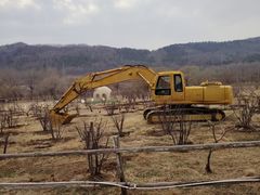 -大连铭湖国际观光牧场
