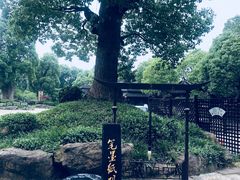-韩湘水博园