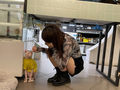 -有猫主题·治愈系猫咖(曾厝垵店)