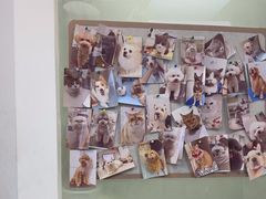 -宠物星动物医院·眼科·异宠·猫科(江南大道总院)