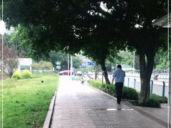 -琥珀咖啡(新南路店)
