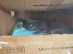 -小小班私人影院·猫咖(万达茂广场店)