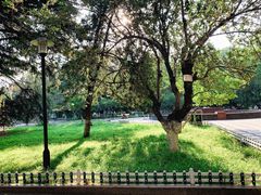 -山东师范大学(千佛山校区)