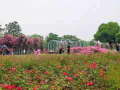 -尚贤河湿地