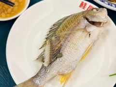 -桂园白粥·潮汕老味道