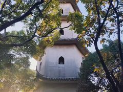 -江心屿景区