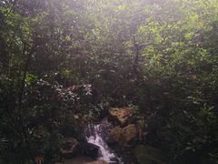 -广州兰圃