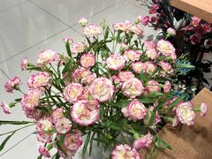 -万达广场(菏泽牡丹店)