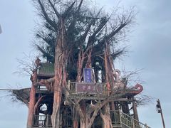 -云漫湖生态度假公园