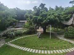 -深圳国际园林花卉博览园