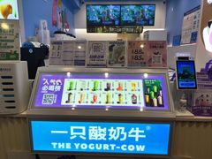 -一只酸奶牛(春熙路店)