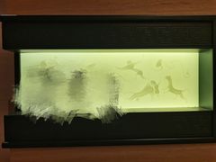 -南阳建业森林半岛假日酒店