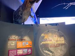 -贝林大翅鲸简餐厅(国家海洋博物馆店)