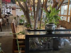 -Africafe(非洲咖啡)