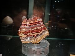 -中国地质博物馆