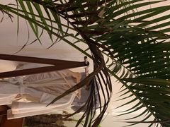 -兰纳泰式spa(古城店)